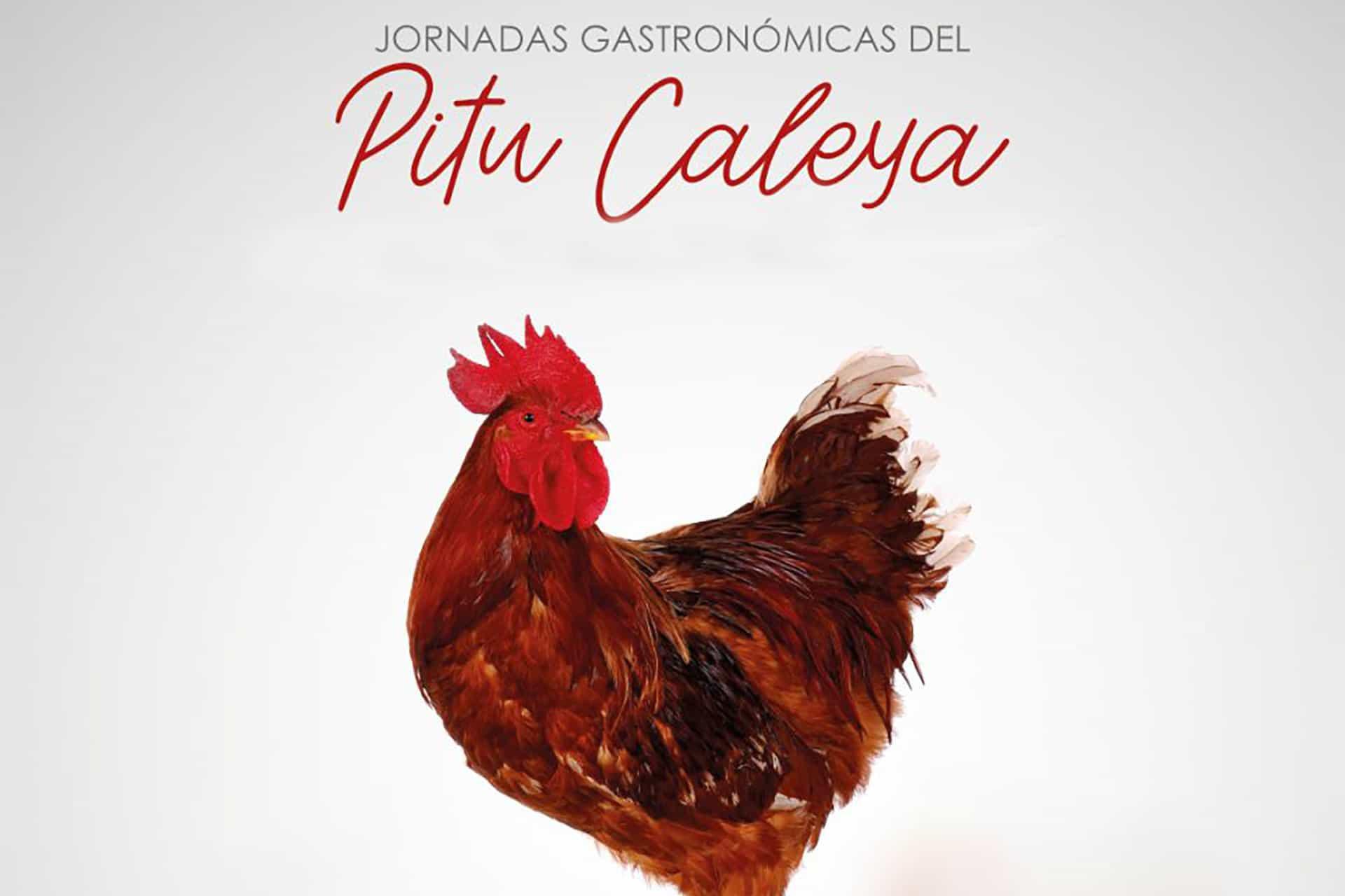 Jornadas Gastronómicas del Pitu de Caleya en Villanueva